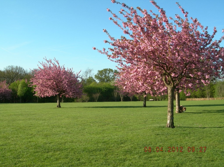 Parc de Sceaux