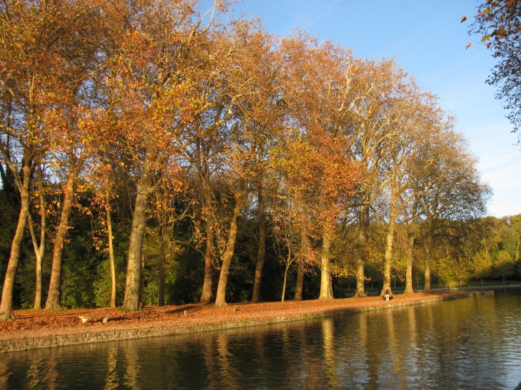 Couleurs d'automne au parc de Sceaux