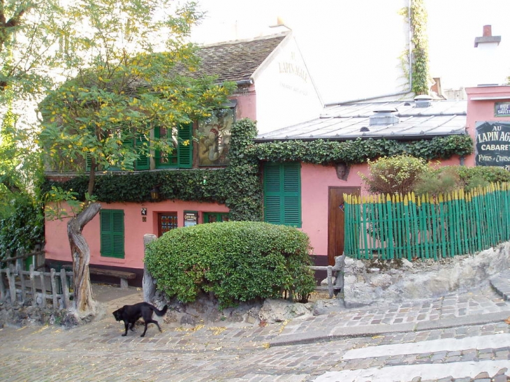 Au Lapin Agile, un chien - Paris 18e Arrondissement