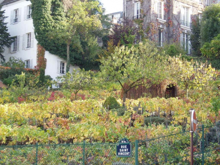 Rue Saint-Vincent - Paris 18e Arrondissement