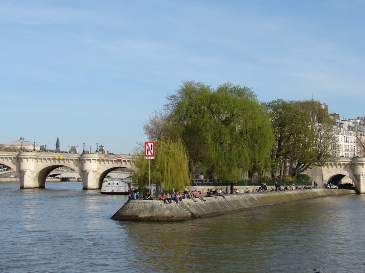 Le Pont-Neuf - Paris 1er Arrondissement