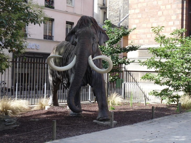 Au-jardin-des-plantes - Paris 5e Arrondissement