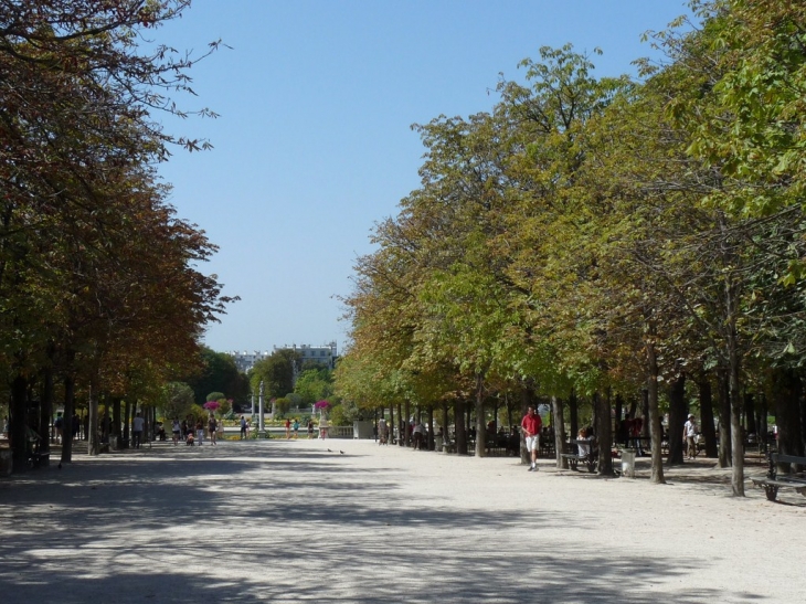 Jardin et palais du Luxembourg - Paris 6e Arrondissement