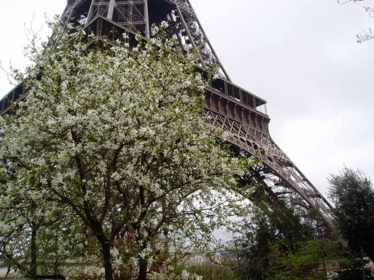 La tour Eiffel - Paris 7e Arrondissement