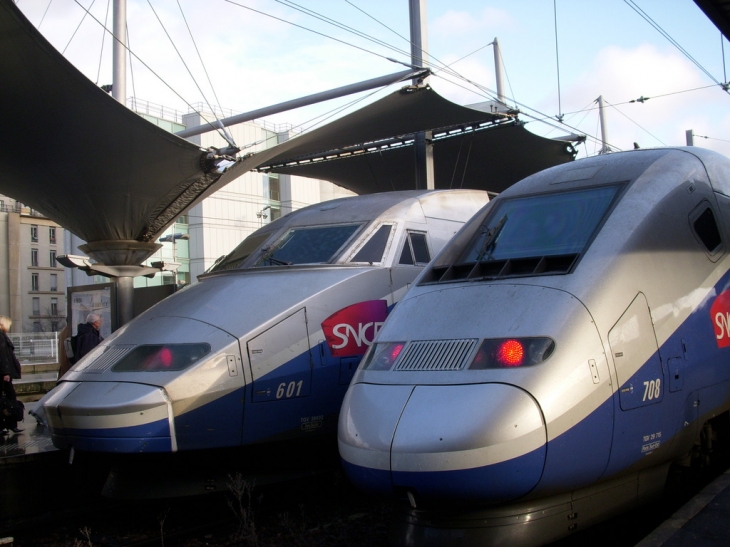 TGV Gare de Lyon - Paris