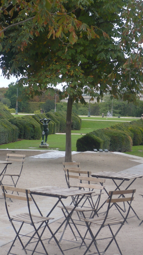 The tuileries - Paris