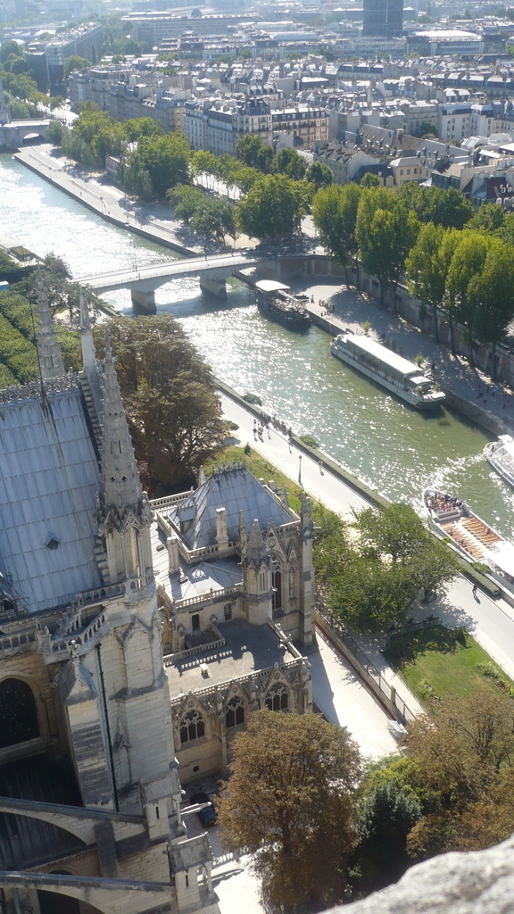 View from notre dame - Paris