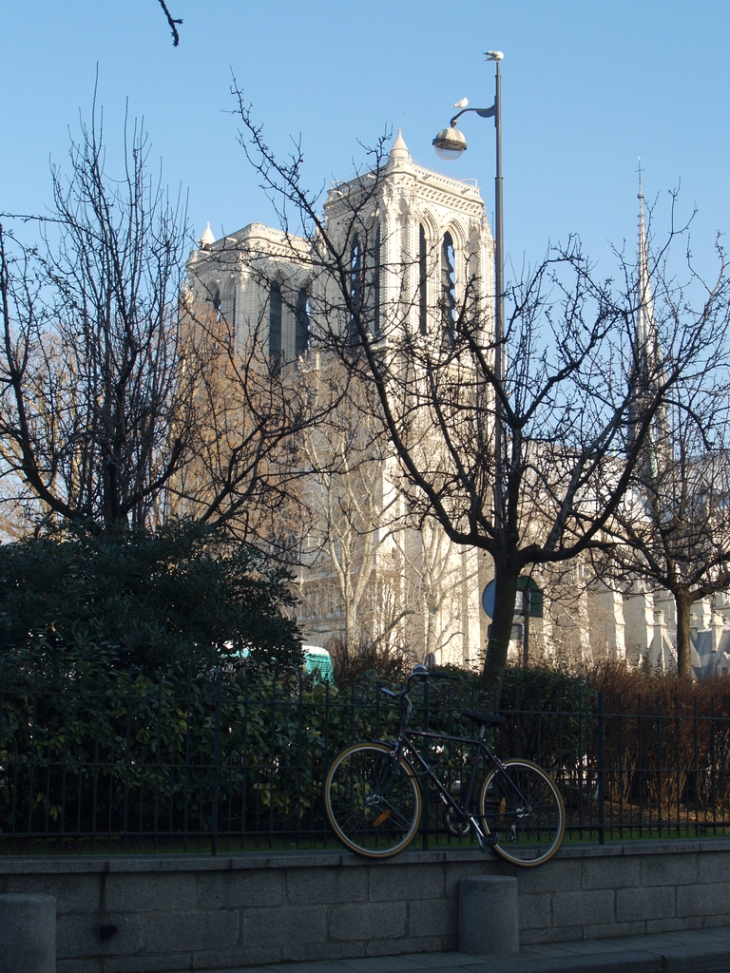 Notre dame - Paris