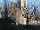 notre dame