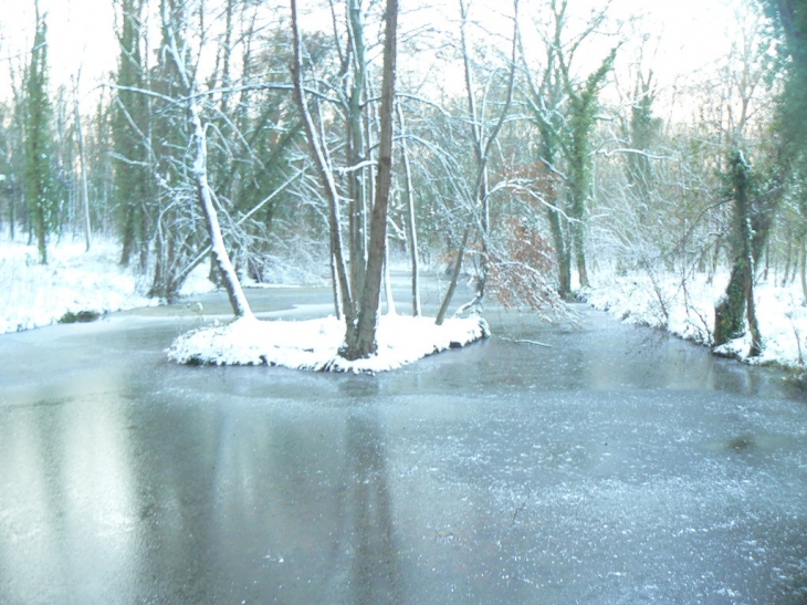 Parc de champs sous la neige - Champs-sur-Marne