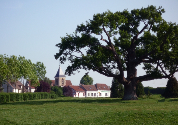 Vieux chene village - Chessy