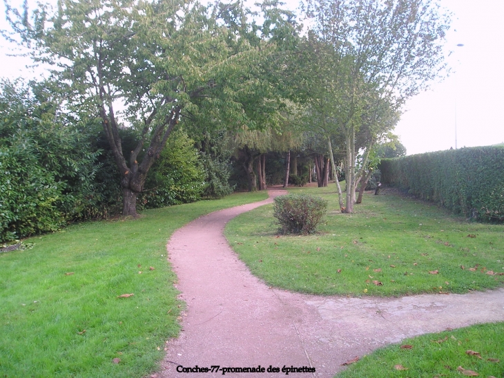 Promenade des épinettes - Conches-sur-Gondoire