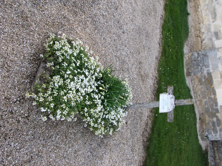 COULOMBS EN V- Cimetière Haut-Tombe blanche - Coulombs-en-Valois