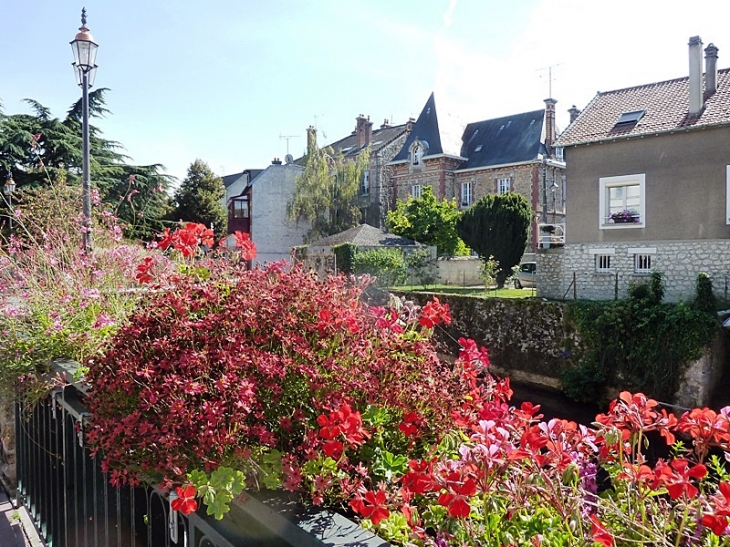 Au bord de la rivière - Coulommiers