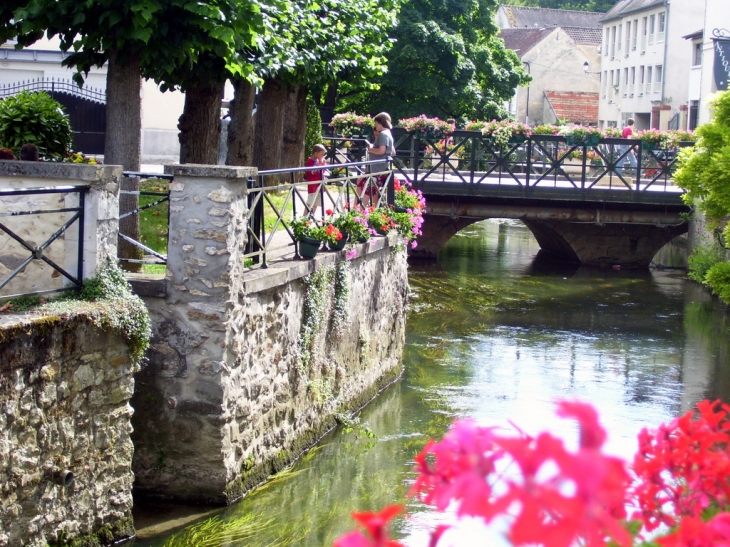 Canal de la 'Venise Briarde' - Crécy-la-Chapelle