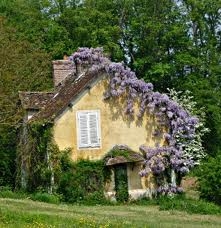  - Crécy-la-Chapelle