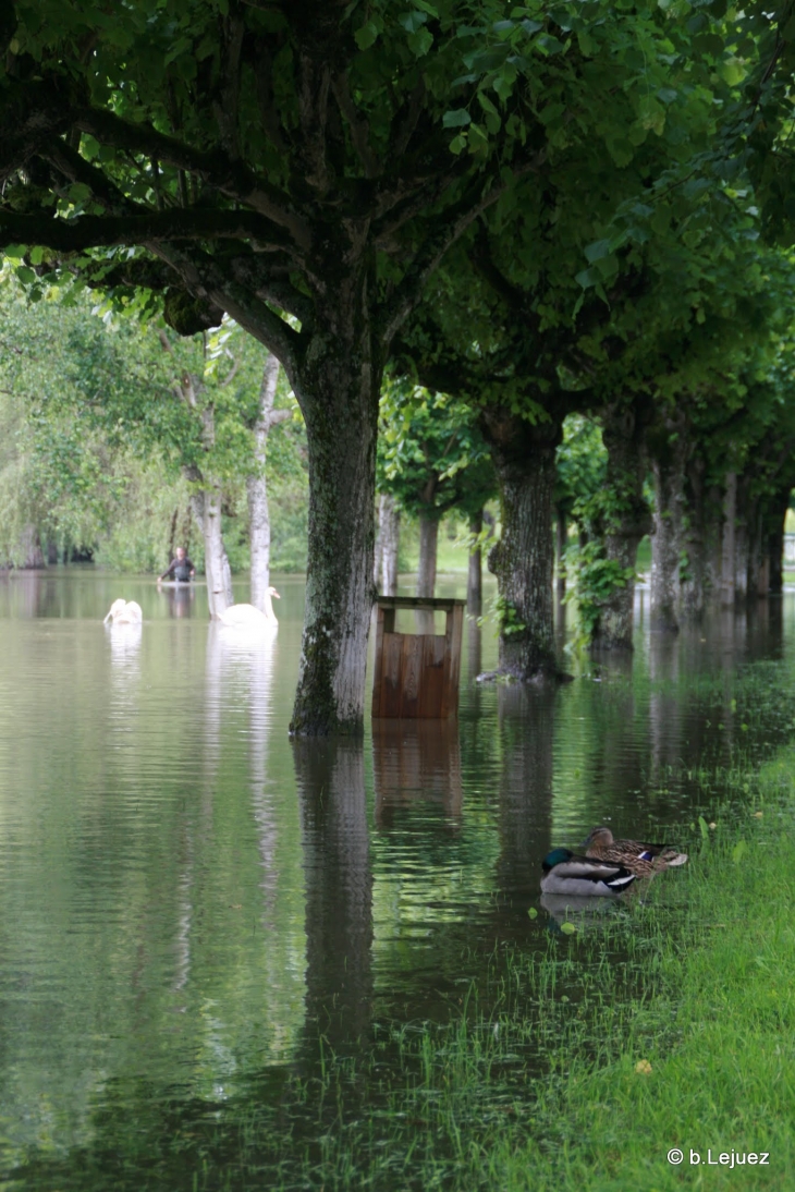 Crue de Seine de juin 2016 - Fontaine-le-Port