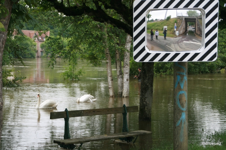 Crue de Seine de juin 2016 - Fontaine-le-Port