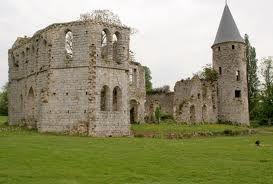 Le Château royal du Vivier - Fontenay-Trésigny