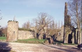 Le château royal du Vivier - Fontenay-Trésigny