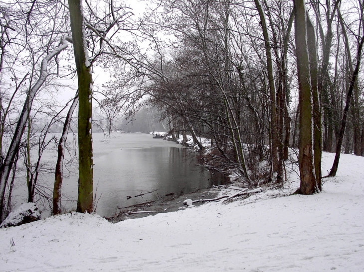 L'étang de la Loy - Gouvernes