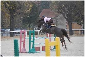 Les Championnat de France - La Houssaye-en-Brie