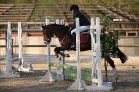 Premier concours de saut - La Houssaye-en-Brie