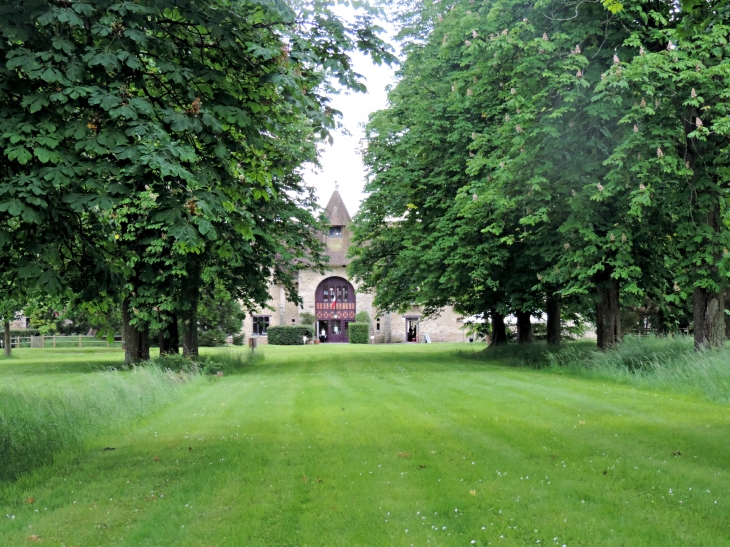 Le parc - Le Châtelet-en-Brie