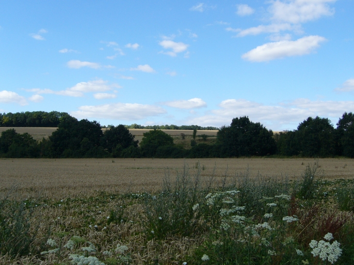 Champs autour de la commune - Lescherolles