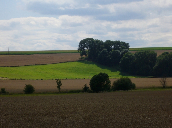 Paysage en bordure de la route principale de Lescherolles