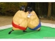 Un combat de Sumo (déguisement)