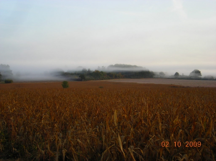 St Ouen dans la bume - Saint-Ouen-en-Brie