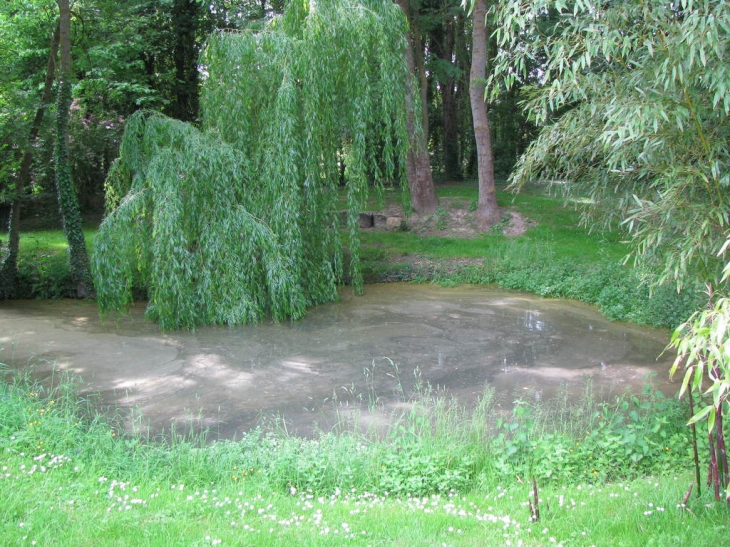 Une mare qui fut autrefois un lavoir - Villuis