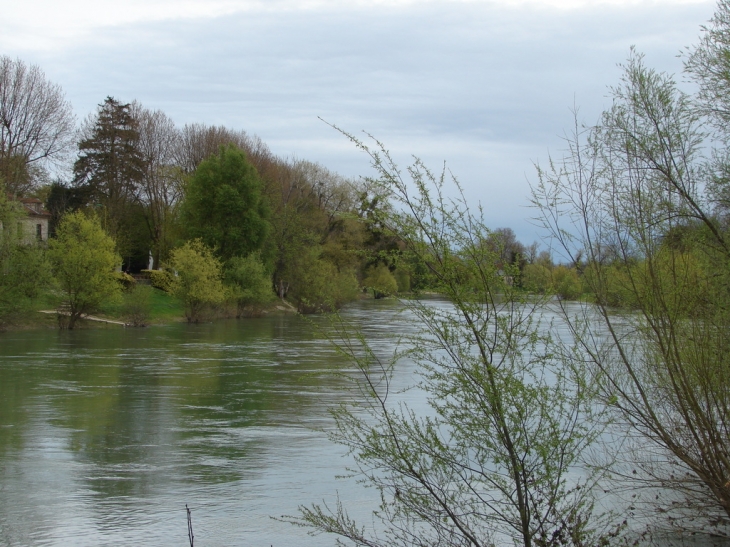 Bord de marne - Gournay-sur-Marne