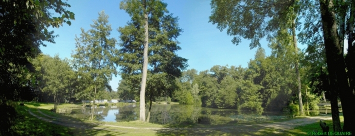 Etang du parc - Baillet-en-France