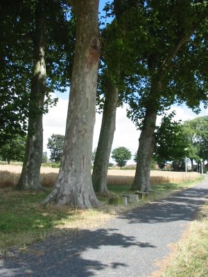 Sente du chalet - Baillet-en-France