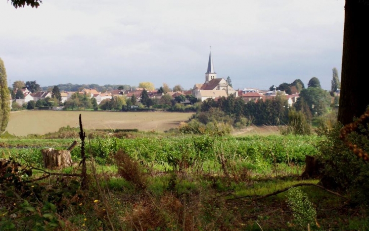 Vue ouest - Belloy-en-France