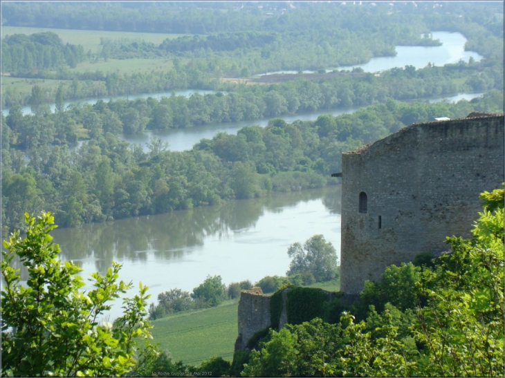 Les bras de Seine à La Roche Guyon - La Roche-Guyon