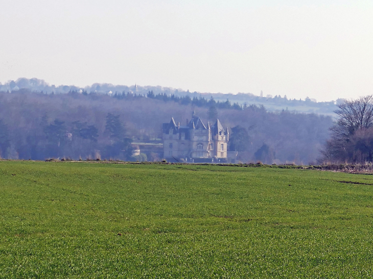 Vue sur le château - Us