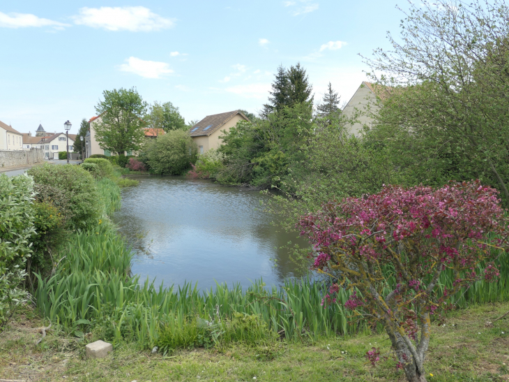 La mare abreuvoir - Villiers-le-Sec