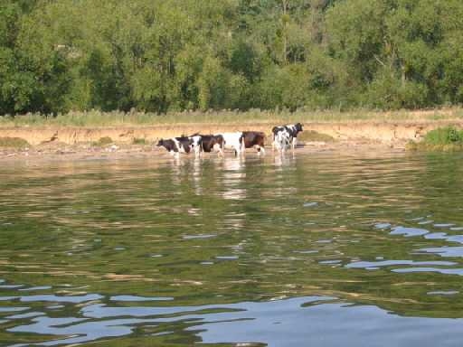  - Bonnières-sur-Seine