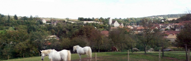 Jumeauville vue de la route de Goussonville