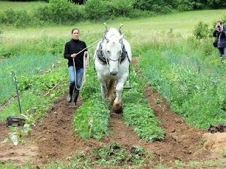 La Fête des Fermes - La Celle-les-Bordes