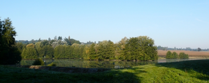 Etang du bas des Mesnuls - Les Mesnuls