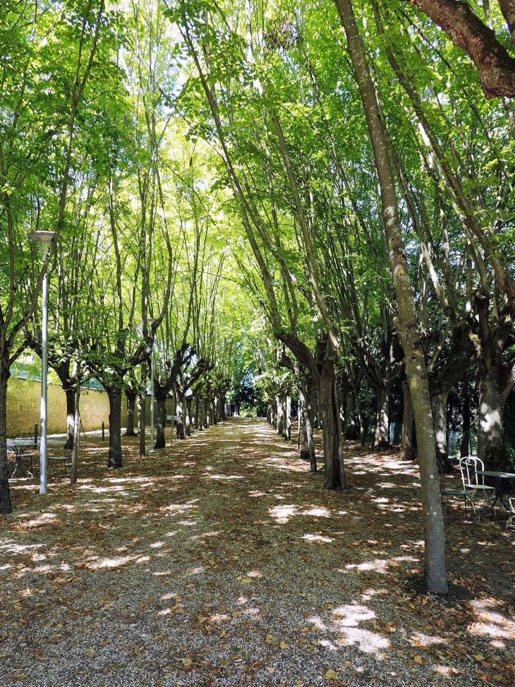 Maison d'Emile Zola : le parc - Médan