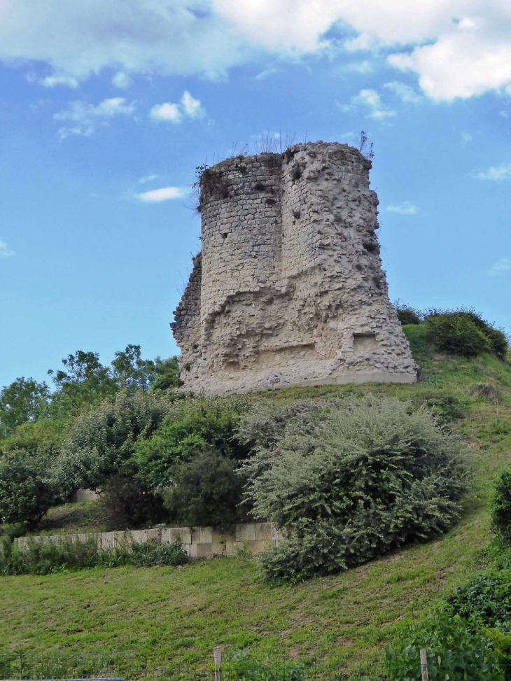 Le donjon - Montchauvet