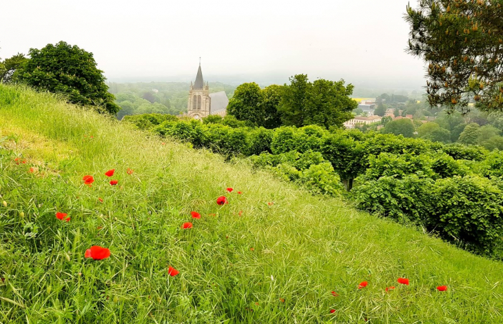 Vue de Montfort - Montfort-l'Amaury