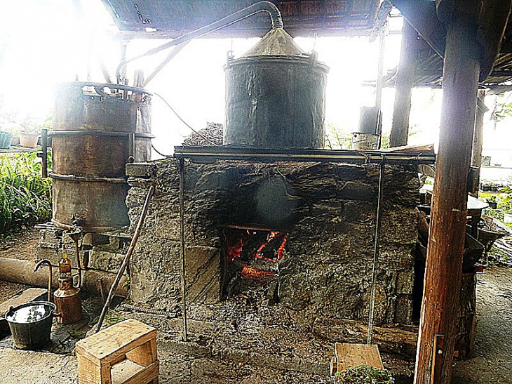 PETITE FRANCE : distillerie de géranium - Saint-Paul