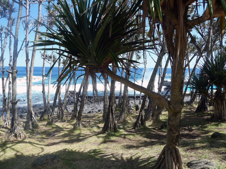 Le Baril : la plage - Saint-Philippe