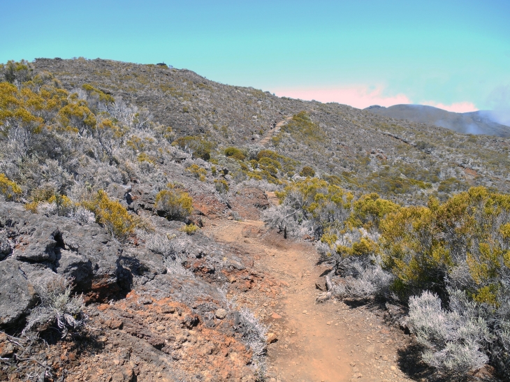 Le volcan : vers le nez coupé de Sainte Rose - Sainte-Rose